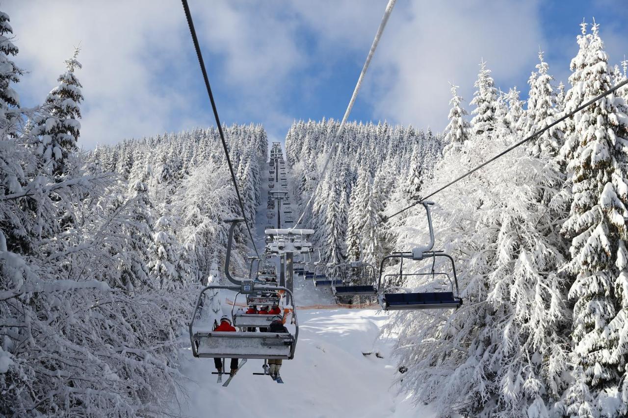 Bukovel Apart 4*